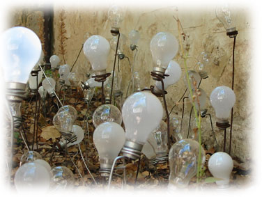 Globes in garden